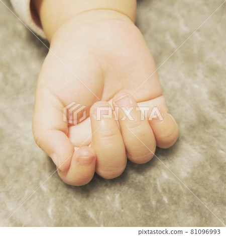 小手掌 小手掌 81096993