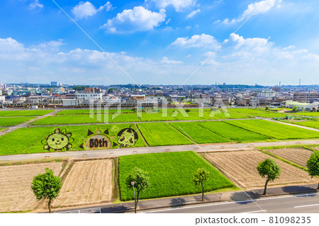 從城山公園朝日城看到的稻田藝術 愛知縣尾張旭市 照片素材 圖片 圖庫