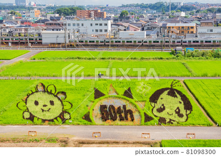 從城山公園朝日城看到的稻田藝術 愛知縣尾張旭市 照片素材 圖片 圖庫
