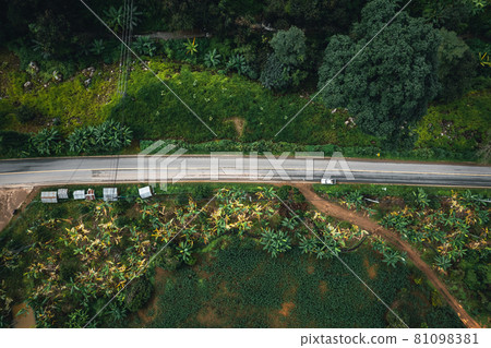 Mountain road in rainy and foggy day 81098381