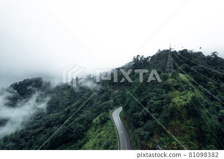 Mountain road in rainy and foggy day 81098382