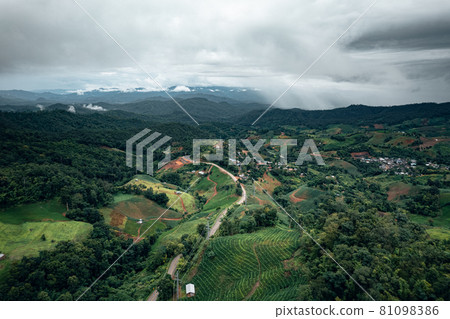 Mountain road in rainy and foggy day 81098386