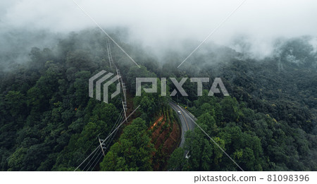 Mountain road in rainy and foggy day 81098396