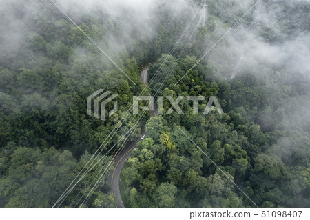 Mountain road in rainy and foggy day 81098407
