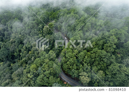 Mountain road in rainy and foggy day Mountain road in rainy and foggy day 81098410