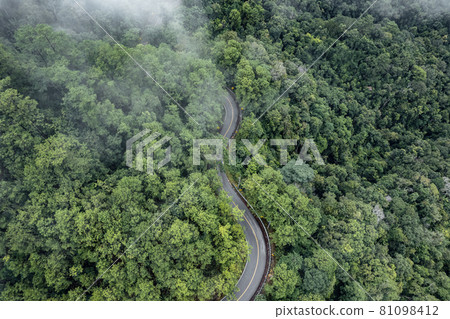 Mountain road in rainy and foggy day 81098412