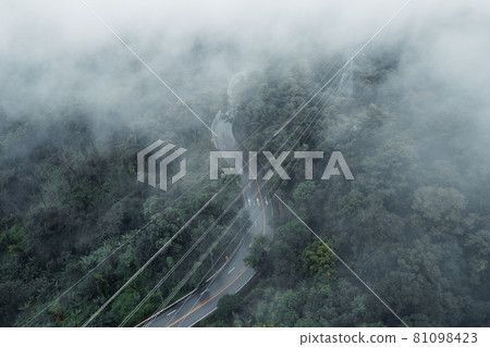 Mountain road in rainy and foggy day 81098423