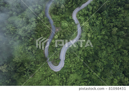 Mountain road in rainy and foggy day 81098431
