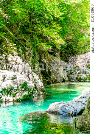 [Nagano Prefecture] Atera Valley (August) 81098969