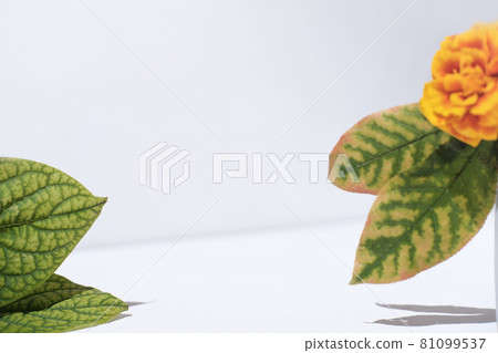 showcase for product presentation with fall decor. orange flower and leaves for autumn sale advertizing. template for product placement. showcase for product presentation with fall decor. orange flower and leaves for autumn sale advertizing. template for product placement. 81099537
