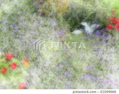 柔和的風格插圖背景材料，薰衣草和天鵝 81099666