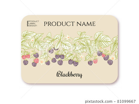 Raspberry. Ripe berries on branch. Template for product label Raspberry. Ripe berries on branch. Template for product label 81099667