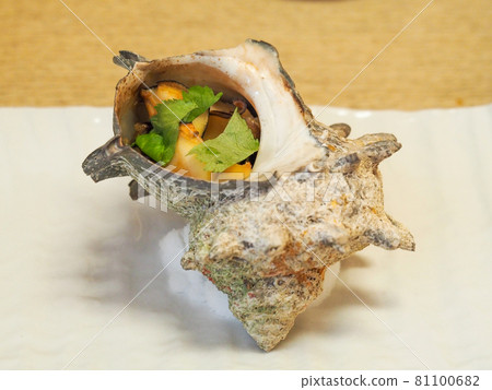 Sazae no Tsubaki 81100682
