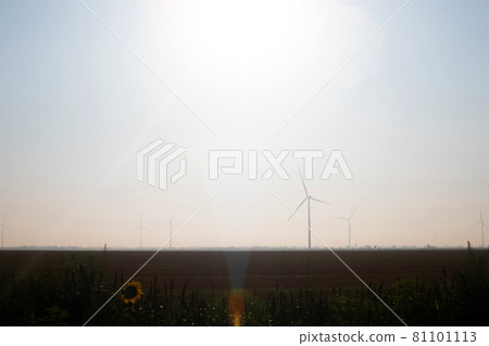Windmills in the fog near a field of sunflowers. Early morning. See the movement of the blades, as a strong wind is blowing. Wind turbine are installed at different distances and hidden in the fog Windmills in the fog near a field of sunflowers. Early morning. See the movement of the blades, as a strong wind is blowing. Wind turbine are installed at different distances and hidden in the fog 81101113