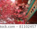 秋葉和中國寺廟 81102457