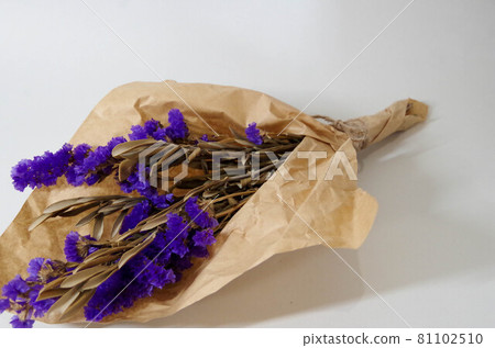 Dried statice flower white background 81102510