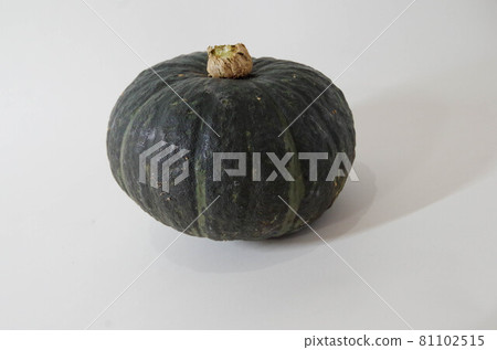 pumpkin pumpkin 81102515