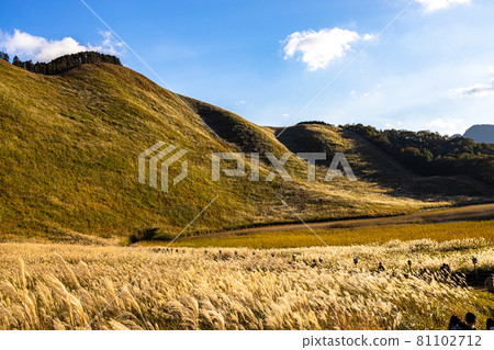 Soni Village, Nara Prefecture Soni Kogen Blue Sky and Japanese Miscanthus Soni Village, Nara Prefecture Soni Kogen Blue Sky and Japanese Miscanthus 81102712