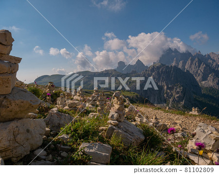 Flowers and cairns in beautiful alpine scenery Flowers and cairns in beautiful alpine scenery 81102809