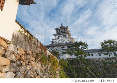 Scenery of Ehime Imabari Castle 81103681