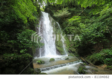 Scenery of Momijiga Falls, Uchiko Town, Ehime Prefecture Scenery of Momijiga Falls, Uchiko Town, Ehime Prefecture 81104082