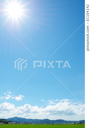 Midsummer countryside with bright blue sky, white clouds and green rice leaves Midsummer countryside with bright blue sky, white clouds and green rice leaves 81104142