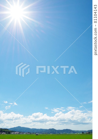 Midsummer countryside with bright blue sky, white clouds and green rice leaves Midsummer countryside with bright blue sky, white clouds and green rice leaves 81104143