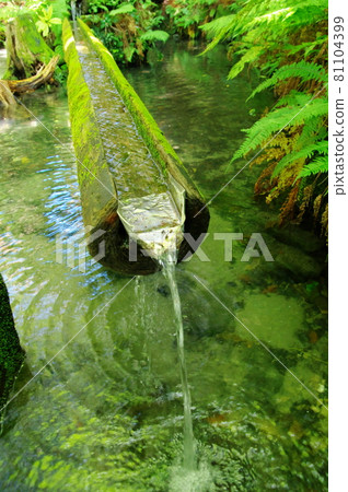 熊野清水(千葉縣長生區天南町) 熊野清水(千葉縣長生區天南町) 81104399