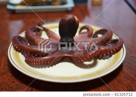 章魚 章魚 81105712