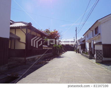 Ohana Street 81107100