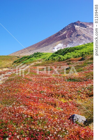 Hokkaido chinguruma fluff and Asahidake Hokkaido chinguruma fluff and Asahidake 81109488