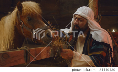 Joseph feeding horse in stable Joseph feeding horse in stable 81110180
