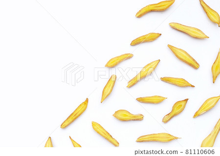 finger root on white background. finger root on white background. 81110606