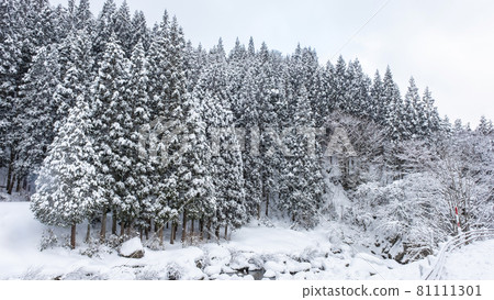 Satoyama snow scene (around Lake Onbara) 81111301