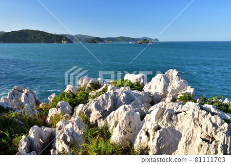 Shirasaki Marine Park Summer Shirasaki Marine Park Summer 81111703