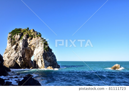 Shirasaki Marine Park Summer 81111723