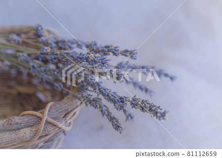 Lavender potpourri in a basket, basket and dry lavender, potpourri, 81112659