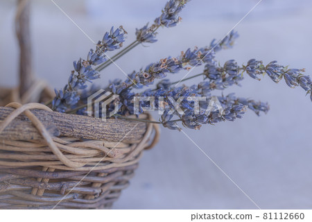 Lavender potpourri in a basket, basket and dry lavender, potpourri, 81112660