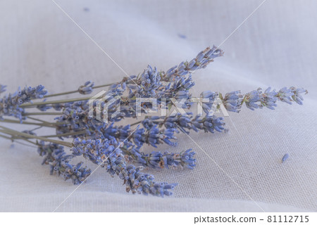 Freshly harvested lavender potpourri, dry lavender on cloth, potpourri, 81112715