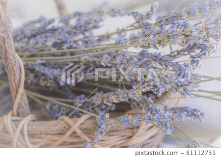 Lavender potpourri in a basket, basket and dry lavender, potpourri, 81112731