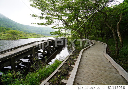 寬闊的木棧道建在群馬縣赤木山濕地角滿淵的水邊。 81112938