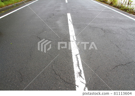 Cracks in asphalt on the road 81113604