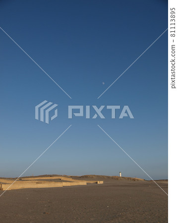 [Shizuoka Prefecture] Nakatajima Sand Dunes in Enshu Nada Seaside Park 81113895