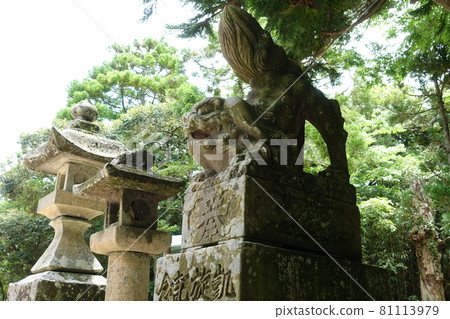 鳥取市白頭神社守護犬 鳥取市白頭神社守護犬 81113979