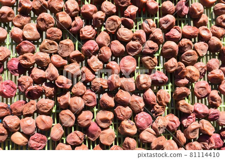 Hand-made Umeboshi Hand-made Umeboshi 81114410