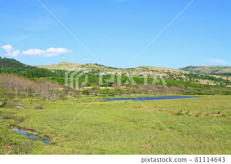 Early summer Venus Line Kirigamine Yashimagahara Marsh 81114643