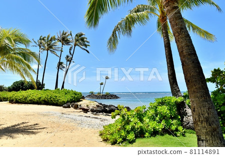 Holidays in Hawaii 81114891