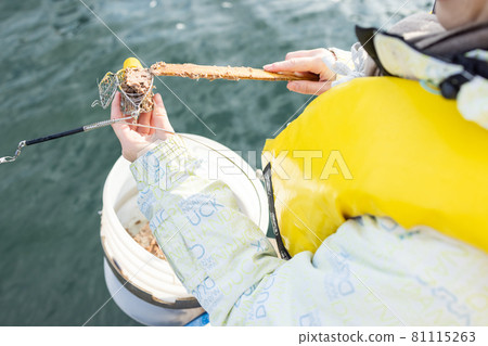 Young woman enjoying fishing - Stock Photo [81115162] - PIXTA