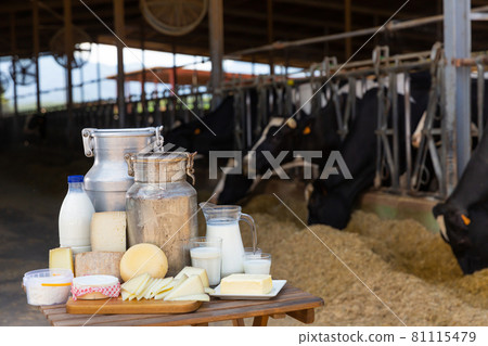 Image of dairy products on the farm Image of dairy products on the farm 81115479
