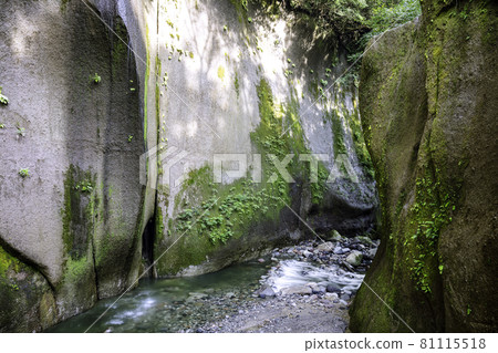 美麗的由布川峽谷稱為東方蒂羅爾（大分縣由布市） 81115518